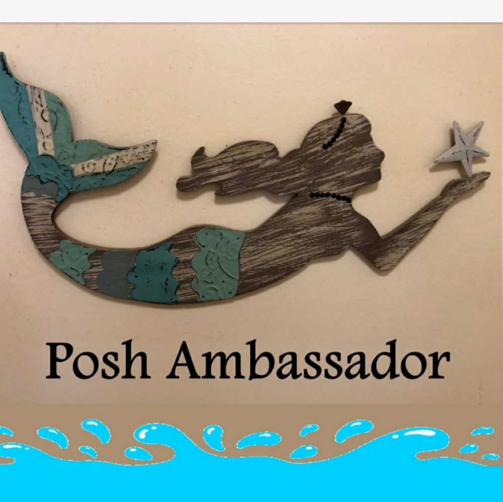 Posh Ambassador